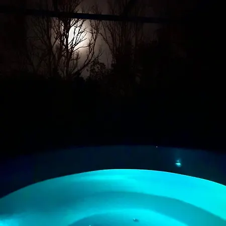 L'ecureuil - Sauna & Bain Nordique - Nature