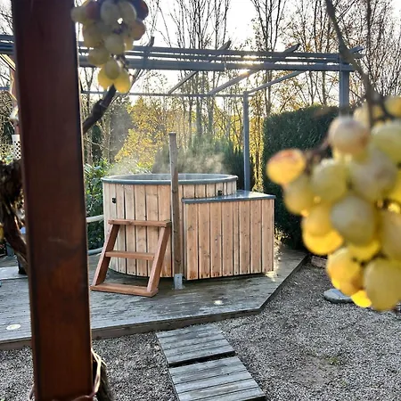 L'ecureuil - Sauna & Bain Nordique - Nature * Colroy-la-Roche